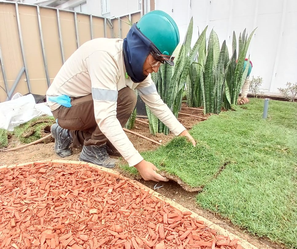 La colocación de gravas es opcional.
