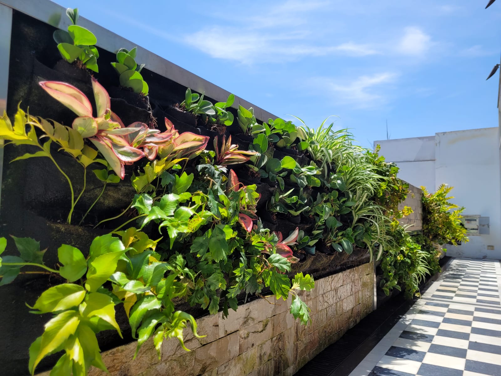 Diseñador de paisajismo