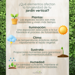 Gania Infografía para Blog Longevidad de tu jardín vertical_Mesa de trabajo 1