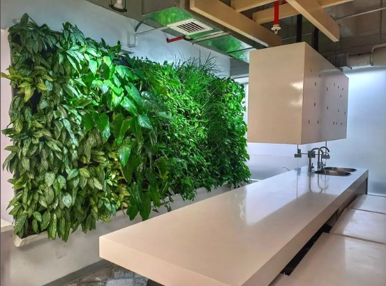 Con mas de 4 años de implementado, las protagonistas siguen siendo ellas  Gracias por la confianza de siempre @oechsleperu desde el mes 1 hasta hoy amamos cuidar vuestro jardin!!!