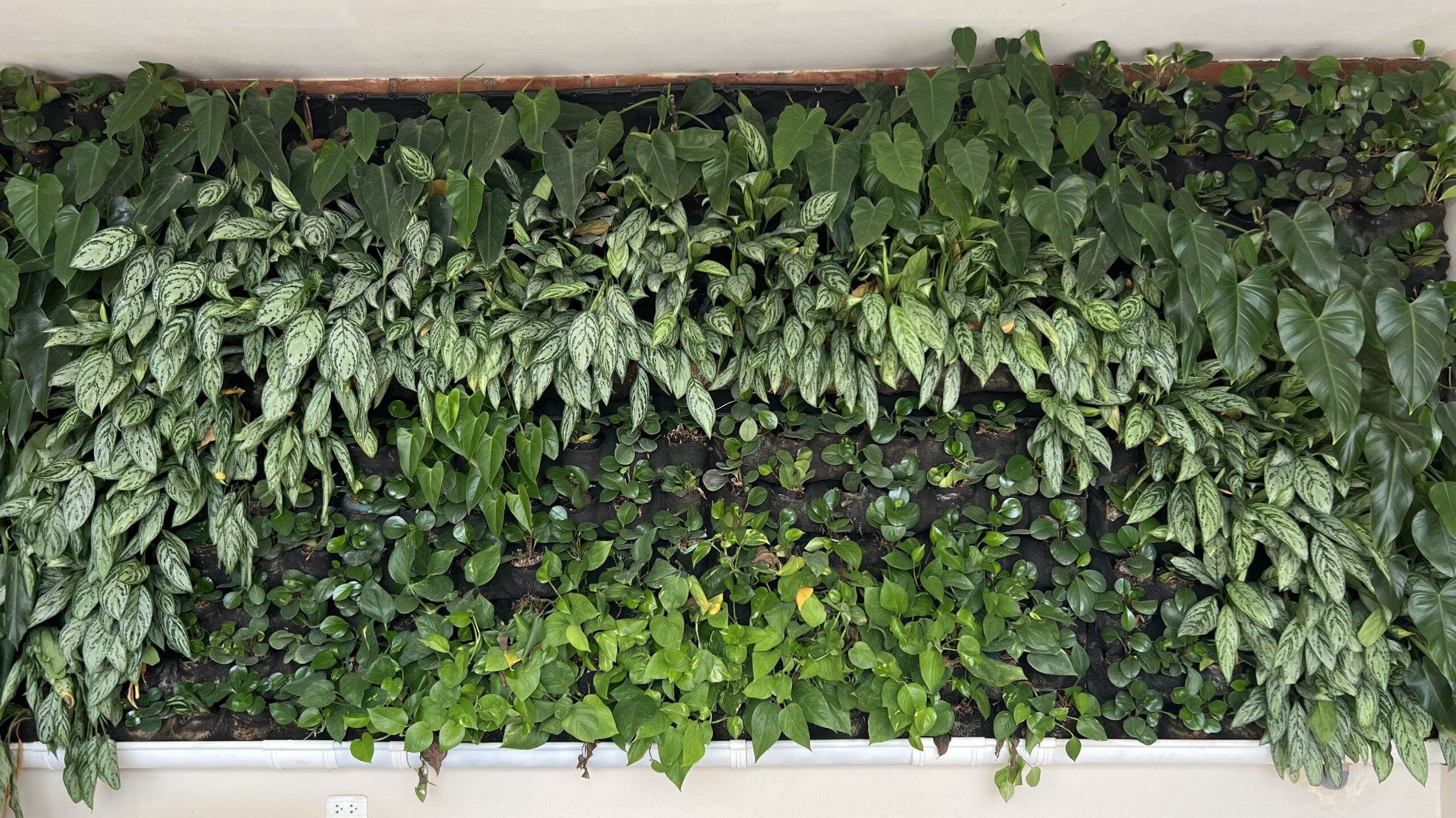 Jardines verticales de bolsillo