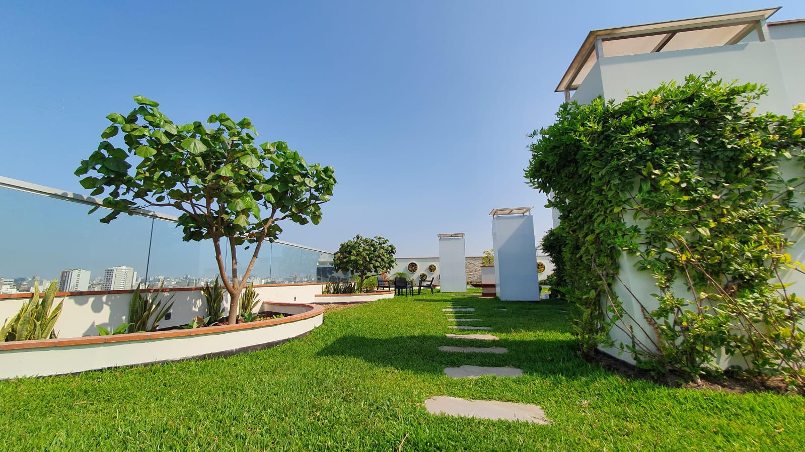 Las cubiertas verdes ayudan a mitigar los efectos del cambio climático.