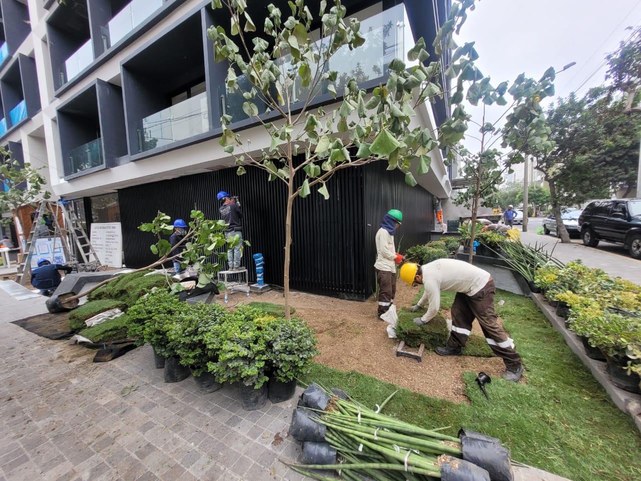 Implementación de cubierta verde y macetas en el exterior de un edificio.