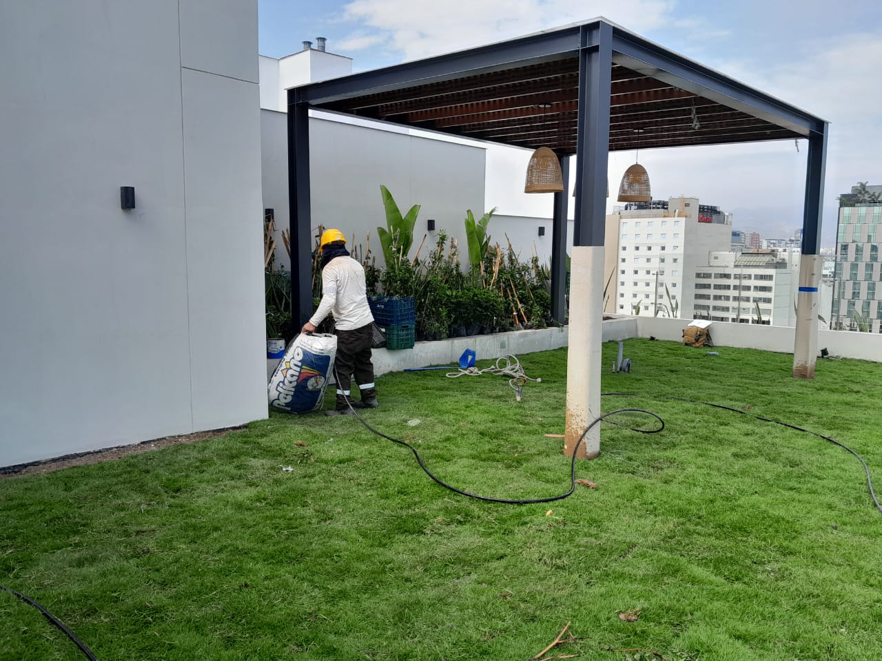 Realiza el mantenimiento del techo verde para extender su tiempo de vida.