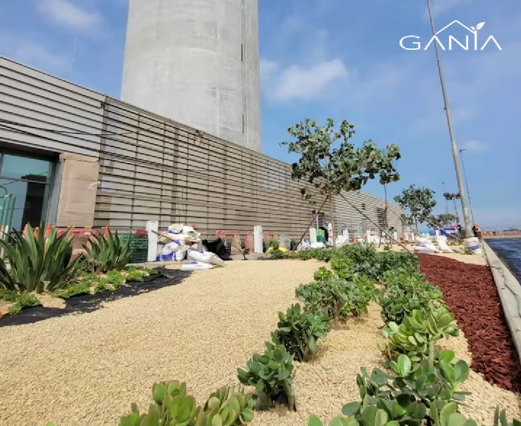 Paisajismo Xerófito Aeropuerto