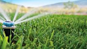 Riego tecnificado: una solución para ganar eficiencia