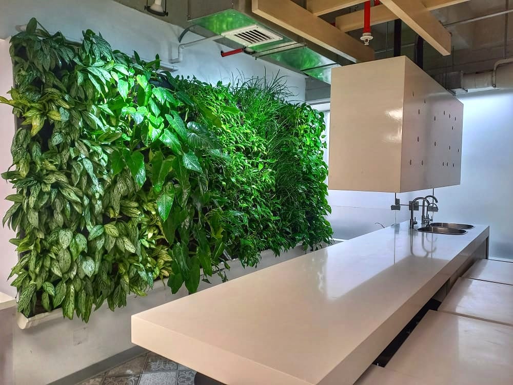 Riego en jardines verticales