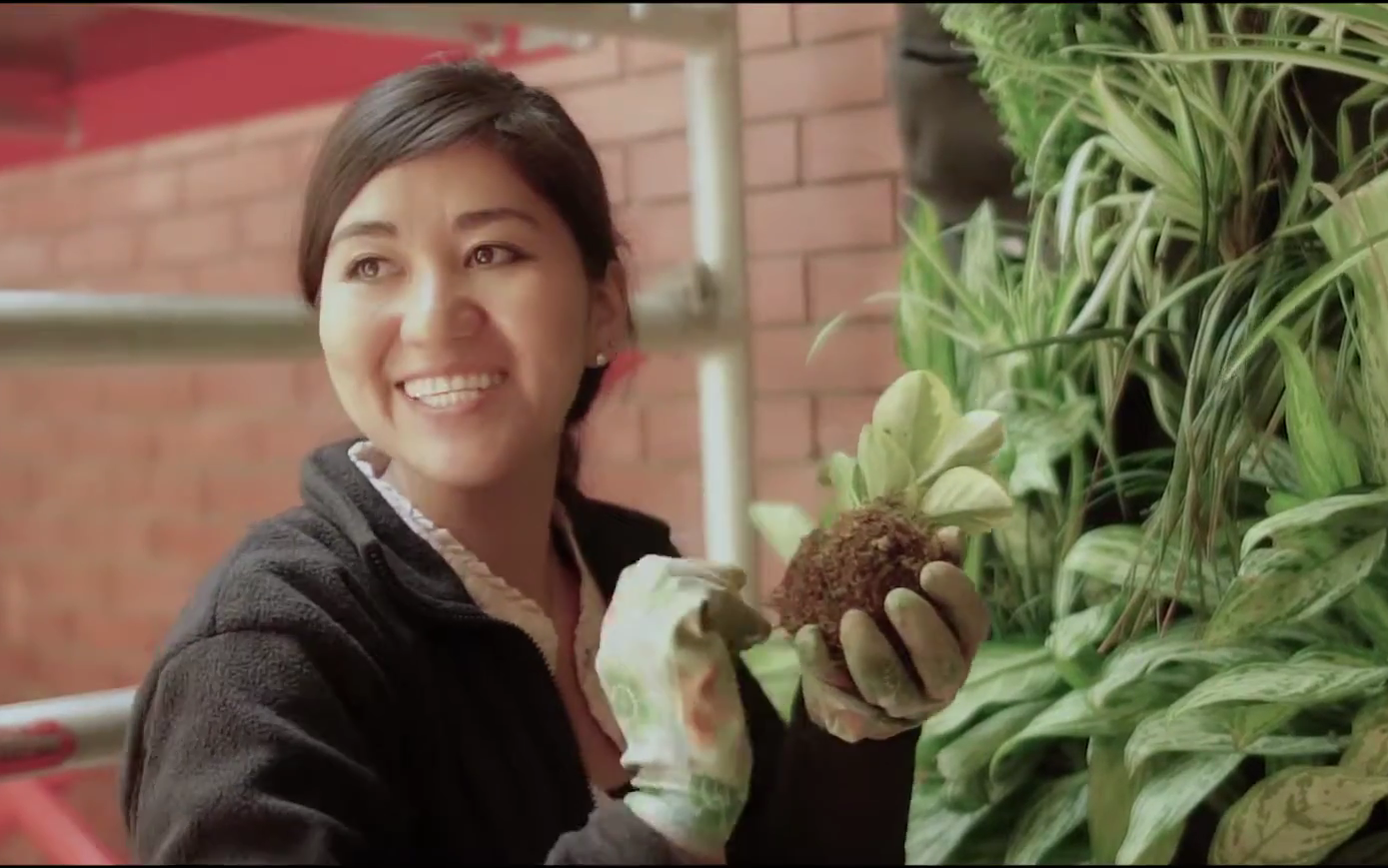 Denisse Ikeda es fundadora y directora de Gania.