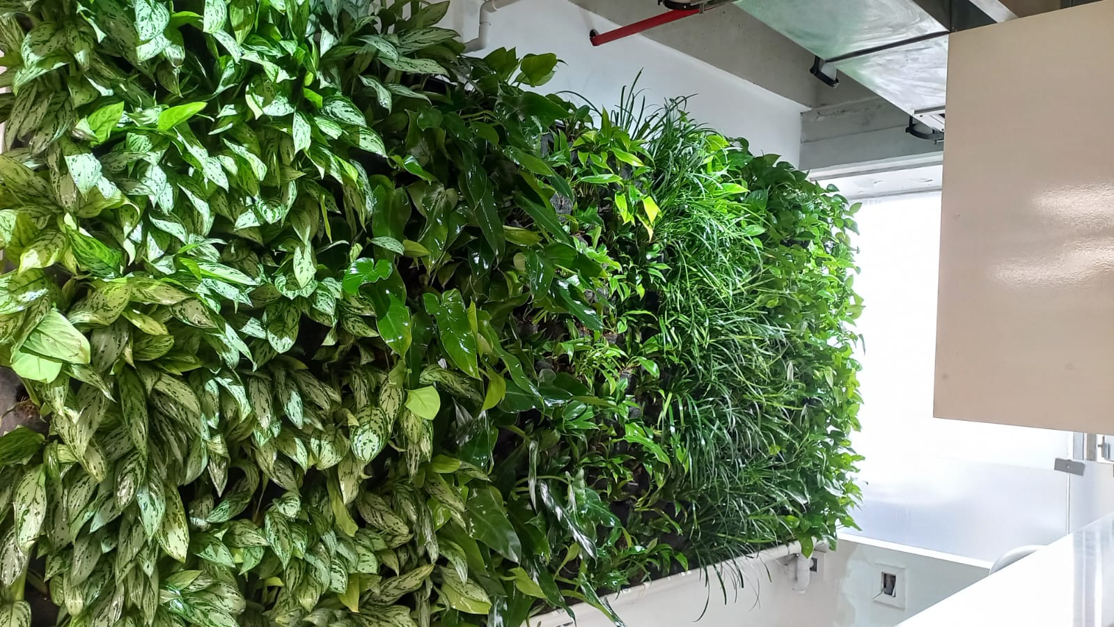 WhatsApp Image 2024-01-30 at 12.57.34