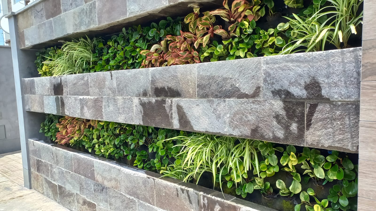 ¿Qué diferencias hay entre un jardín tradicional y  un jardín vertical?