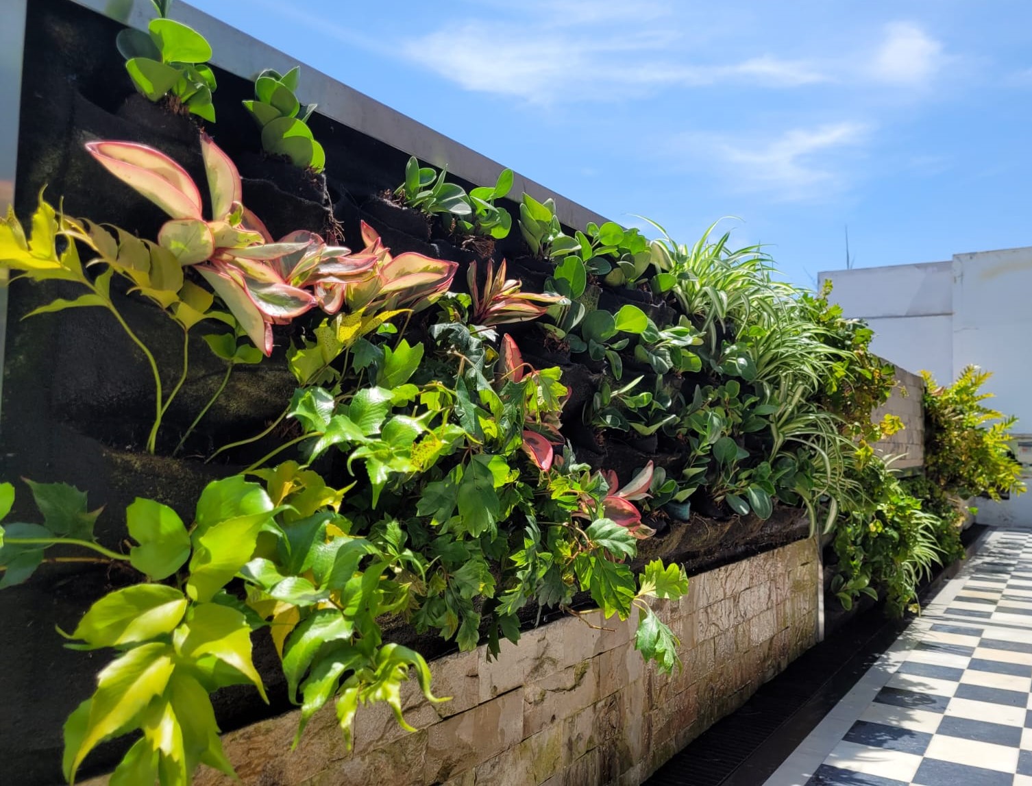 WhatsApp Image 2024-02-14 at 10.56.07