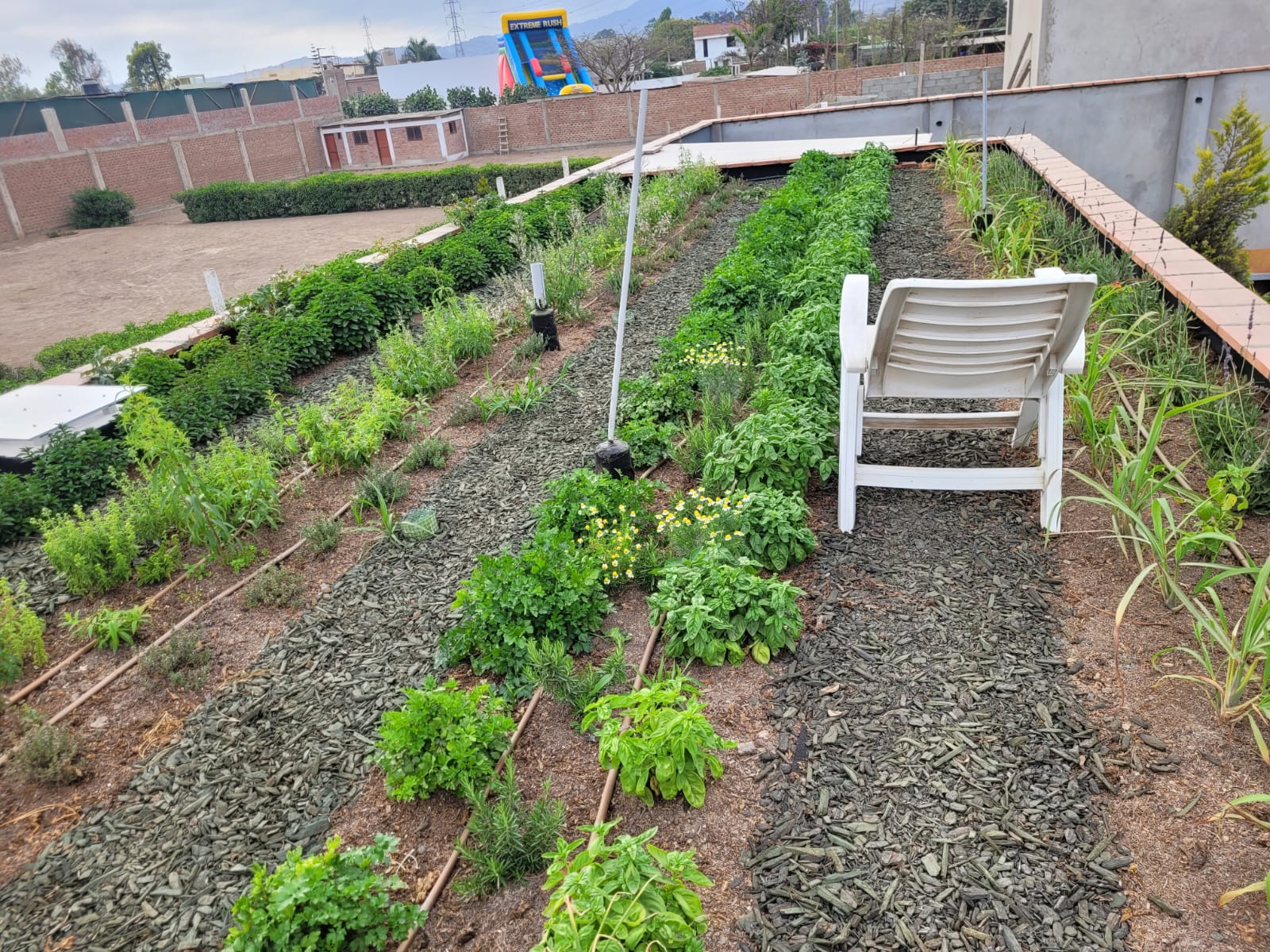 WhatsApp Image 2024-02-14 at 11.27.26