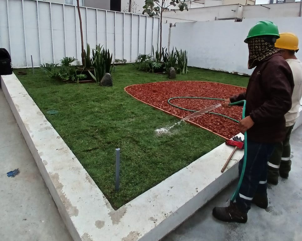 Las cubiertas verdes mejoran la calidad del aire.