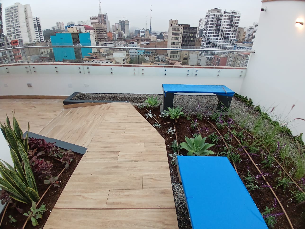 Beneficios de un diseño xeropaisajista