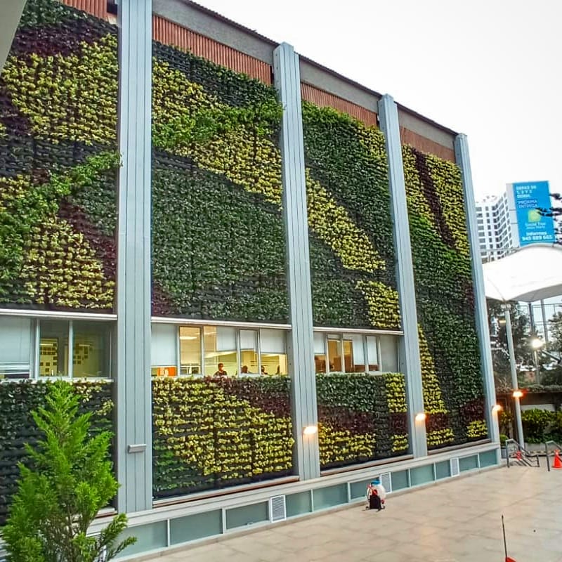jardin vertical Lima