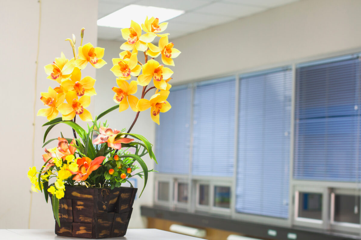 ¿Cómo decorar tu oficina con flores?