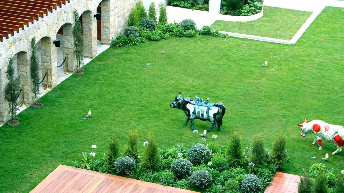 Hacia una ciudad sostenible: techos verdes y jardines verticales son tendencia en Lima