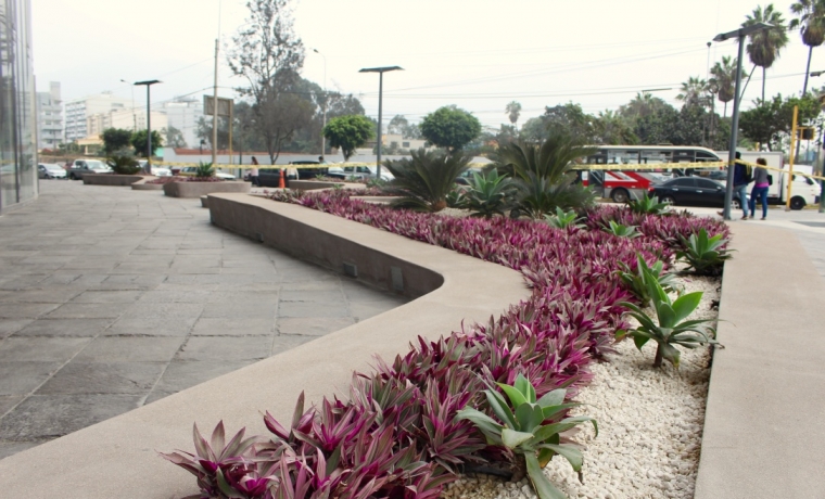 ¿Qué es el xeropaisajismo?