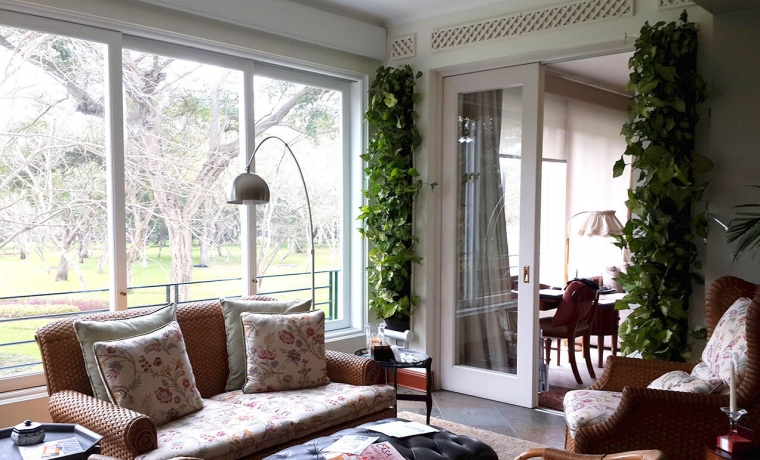 Jardines vertical instalados en un área de 1.20 m de alto en una casa en San Isidro.